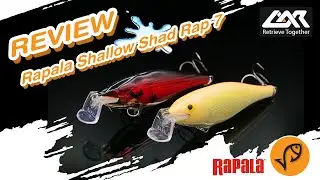 Rapala Shallow Shad Rap SSR07 ][  Lure Action Review Channel