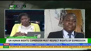 TVC NEWS NIGERIA ON CAMEROON ANGLOPHONE CRISIS