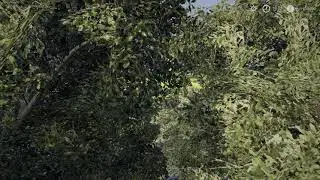 Farming Simulator 2019 mods STASIOWA Map