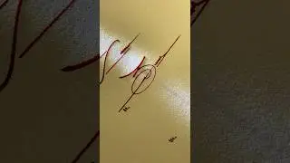How to sign the letter  Z #signature #viral