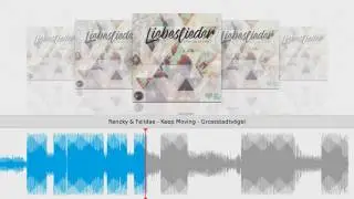 Renzky & Felidae - Keep Moving