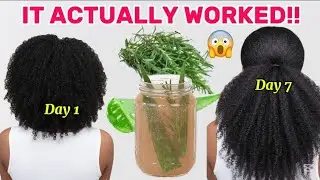 I Used Aloe & Rosemary for 7 Days&hellip; My Hair Growth is UNBELIEVABLE! (DIY Shampoo)