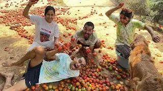 Tamatar ki holi 🥰 Spanish culture 🇪🇸