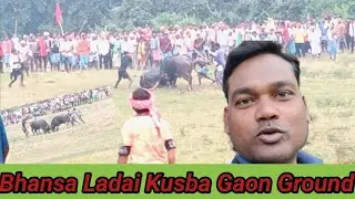 Bhansa Ladai Kusba Gaon Ground//भैंसा लड़ाई देखकर हंस हंस कर लॉट पॉट हो जाओ।@PradhanIndia 