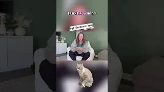 Giant Plush Bean Bag Chair Funny meme
