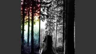 Forever Forest