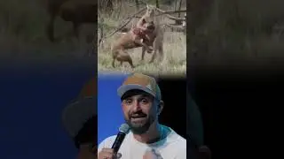 Homem da Soco em Canguru! 🥊🦘