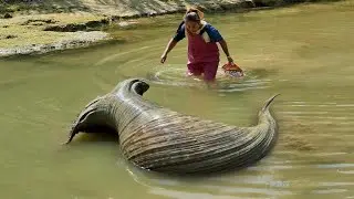 When the girl saw this unique twisted river clam, she excitedly harvested a super beautiful pearl