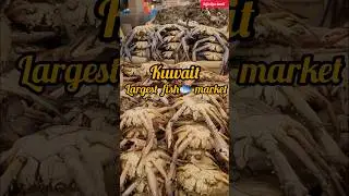 Kuwait's  🇰🇼 Biggest Fish market