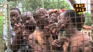 PRISON BRAKE - HAPA KULE NEWS EP 29