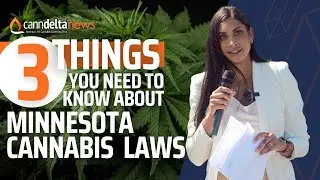 Minnesota's 2024 Cannabis Licensing Process in 3 mins
