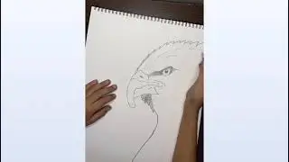 How to draw a eagle I Animal drawing I easy animal drawing I eagle drawing I pencil drawing