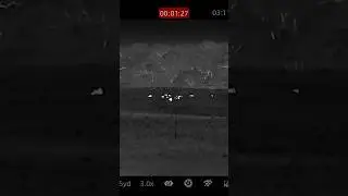 Calling hogs...  #hunting #night #wildlife #photo #thermal #hog