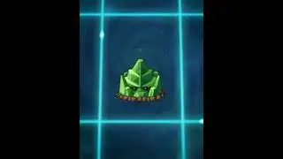 Who is your favorite plant from the Reinforce-mint Family?