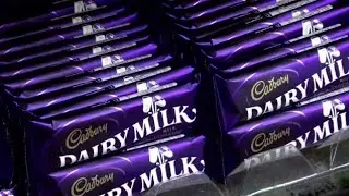 Chocolate Taster Job