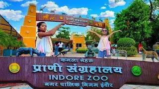इंदौर चिड़ियाघर || रवीना टन-टन || My VLOG || INDORE  Z🔴🟠 || Indore Zoo | Zoo Indore | Chidiya Ghar |
