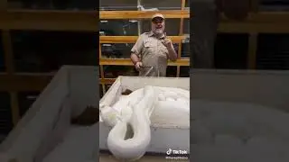 #snakee(5)