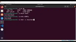 How to find out your default Shell