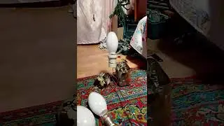 ДРЛ 250вт неизвестного производителя