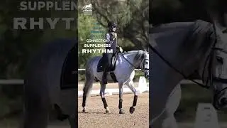 Boost Your Riding Progress with the Training Scale!