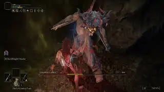 AbysmalBob vs ELDEN RING DLC - Curseblade Labirith (Bonny Gaol) RL1+0 No Hit 0 Blessing