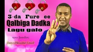 Qaababka Aad ku Heli Kartid Jacaylka iyo Ixtiraamka Dadka. by AxmedShaakir Cawil