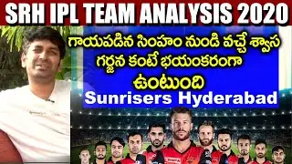 SRH IPL 2020 Team Analysis  | Can They Win The Trophy This Time ?  Eagle Media Works