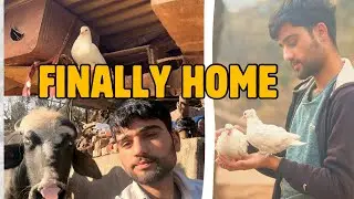 MBBS Hostel Se Ghar Tak | A Calm Day in Rajouri 🌿 | Cricket, Birds & Real Peace