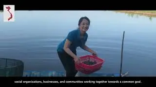 Integrated rice and shrimp farming in the Mekong delta in Viet Nam