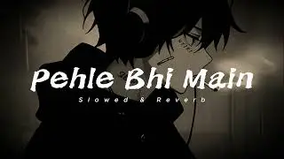 Pehle Bhi Main (Slowed Reverb) | Animal | Arijit Singh | Lofi Vibes | BeatVibes #lofisongs #Beatvibe