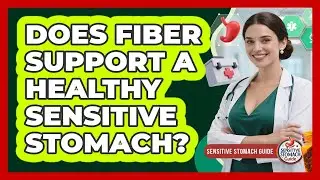 Does Fiber Support A Healthy Sensitive Stomach?