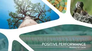 Biomimicry and Positive Impacts in the Built Environment