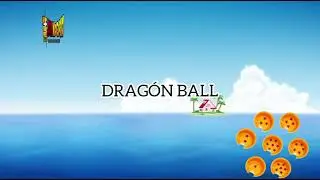 Animaci&oacute;n Digital DBZ