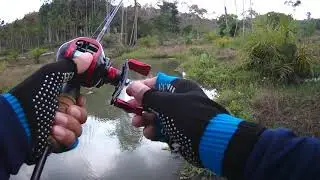 #Texusrig# no sinker rig#ปลายาง#รอกราคาถูก