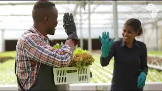 Nourishing the African Dream with Aquatic Foods