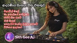 හිතට දැනෙන සිංහල සින්දු එකතුව 02 | Top Sinhala Classics Collection | Nonstop Nostalgic Hits