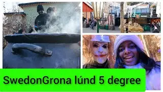 Swedon Grona l&uacute;nd temperature 5 degree #swedon #Grona l&uacute;nd #5degree #travel #tip | Saro Story