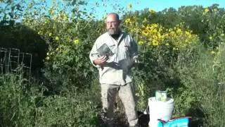 Производство продуктов питания на заднем дворе
