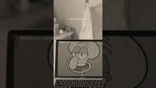 kata-kata bijak squidward