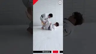 Drill long step 🌪️🔥🚀🥋Estudando com os campe&otilde;es niwabros #jiujitsu #jiujitsulifestyle