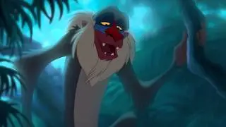 Lion king The monkey is his uncle