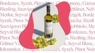 Weingut Hugl Wimmer Gelber Muskateller 2023