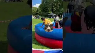 🎉🐂 Mechanical Bull Ride Challenge! 🐂🎉 #MechanicalBull #Challenge #OutdoorFestival&nbsp;#BullRiding #kids