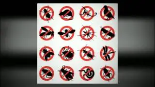 Rodent Control Sydney | Mice Control - Rat Control | Pest Control Sydney