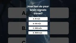 Science quiz | Only 1% know this weird science fact 😳#quiz #gk #game #trivia #ytshorts#feed#feedfeed