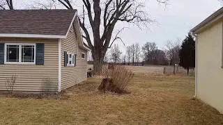 Lark Nurseries&mdash;Rosemont, New Jersey&mdash; Large Tree Removal