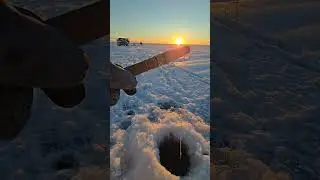 Ice fishing on the Kuskokwim. #Yupik #icefishing #subsistence