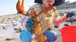Small chapter catch sea crazy found giant lobster and flounder