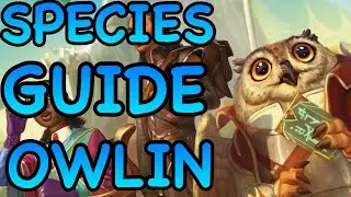 D&D5E: РУКОВОДСТВО ПО ВИДАМ СОВИНА