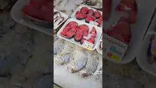 Virry funny song fish song punjabi #automobile #ranaadilvlog77 #hindisong